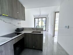 Leedon Green (D10), Condominium #477832971